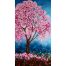 Jacaranda